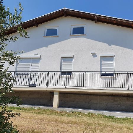 Apartma Zdenko 伊佐拉 外观 照片