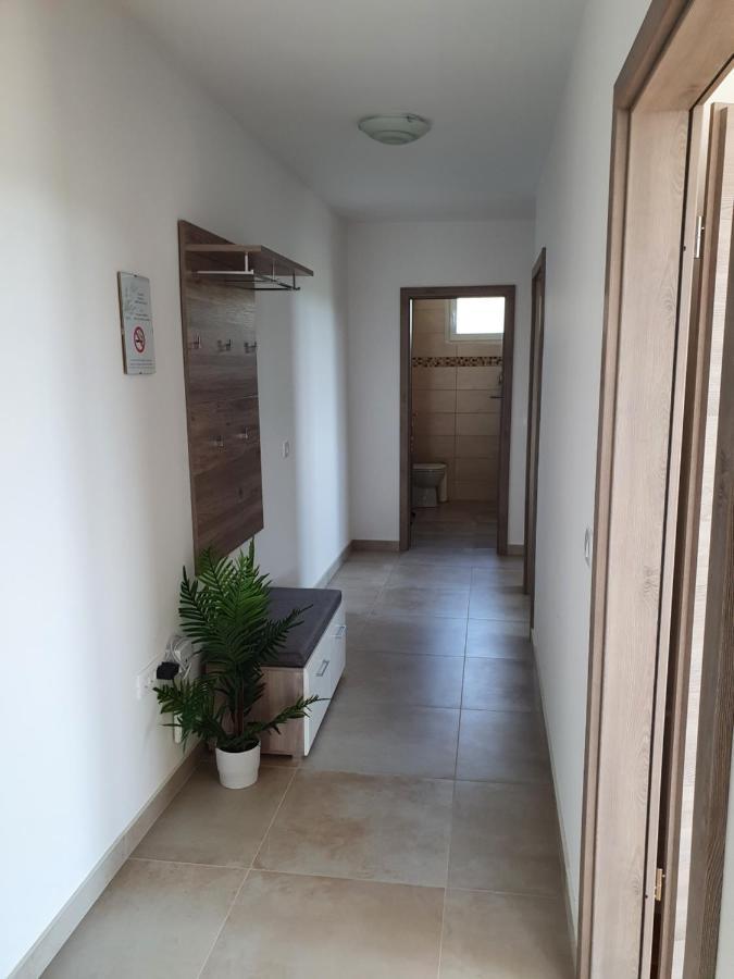 Apartma Zdenko 伊佐拉 外观 照片